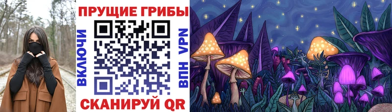 Галлюциногенные грибы GOLDEN TEACHER  omg tor  мориарти формула  Звенигород 