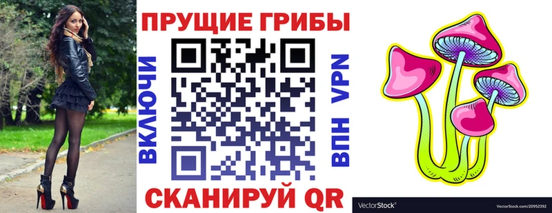 Галлюциногенные грибы Psilocybe Звенигород