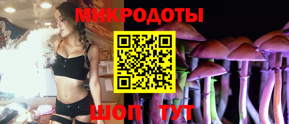 Звенигород  Псилоцибиновые грибы прущие грибы  Вход с VPN 