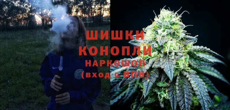 Конопля Ganja  Звенигород 